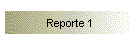 Reporte 1