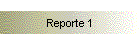 Reporte 1