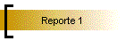 Reporte 1