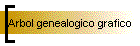 Arbol genealogico grafico